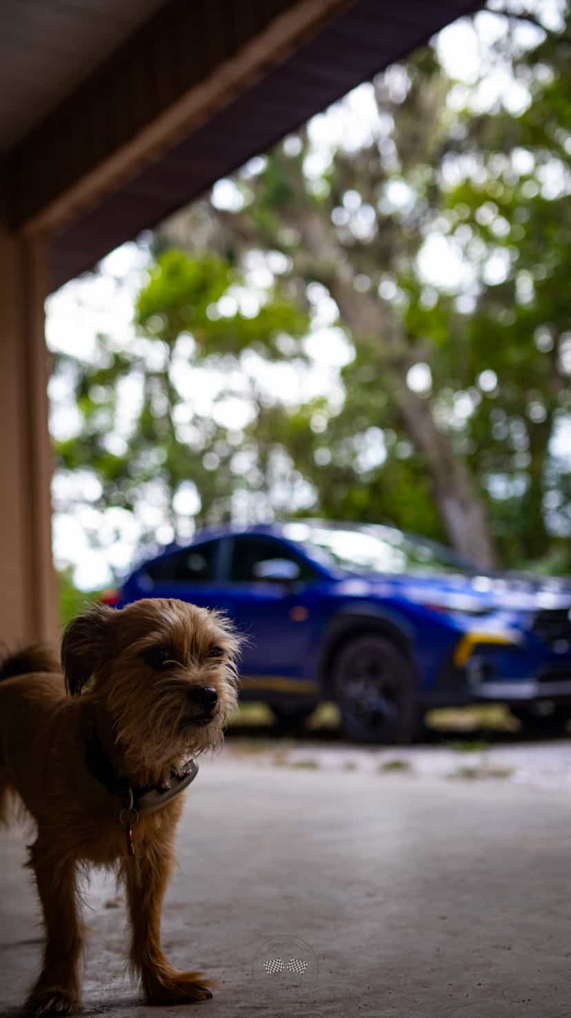 Profile