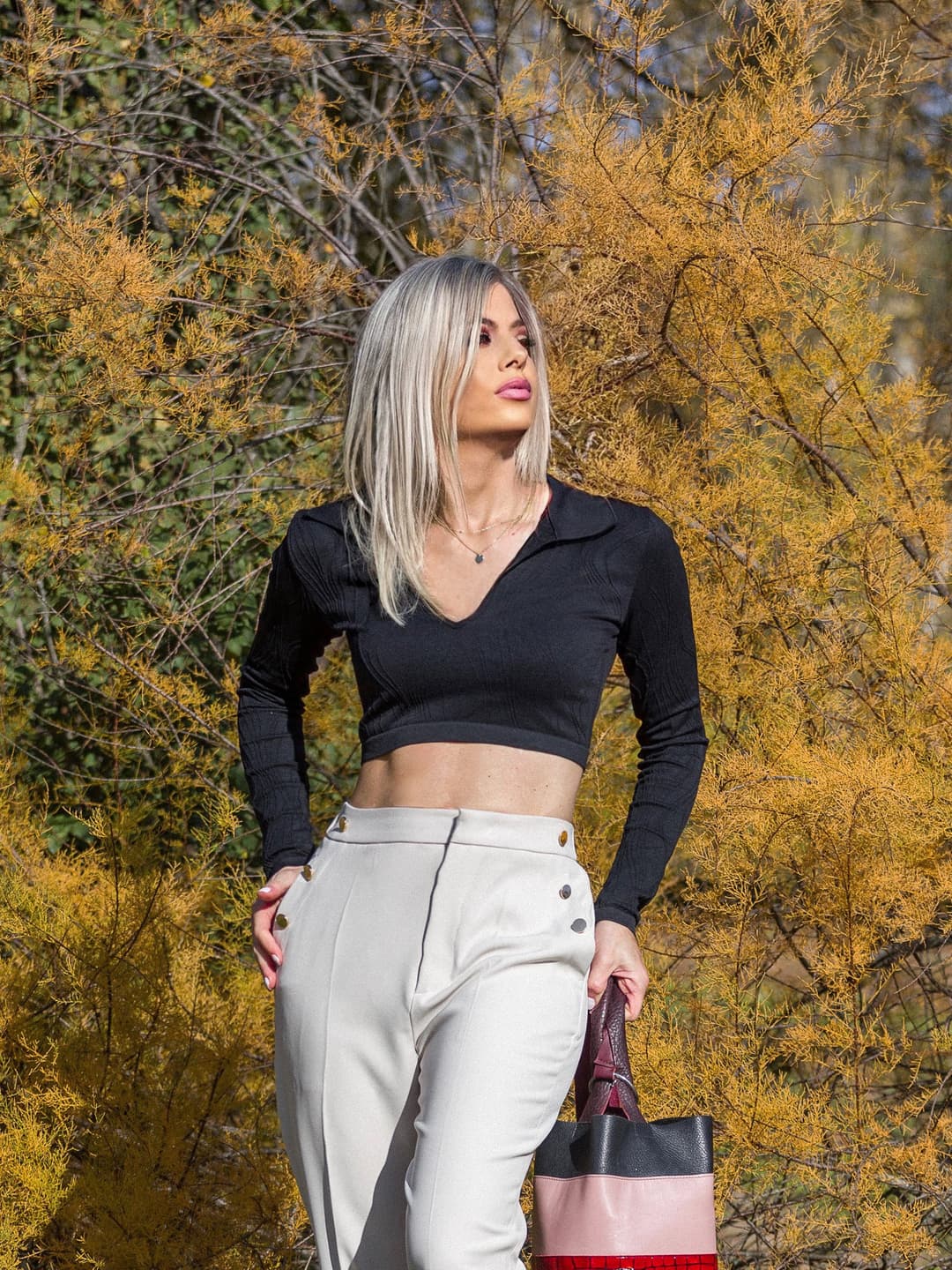 Creator Beatriz photo