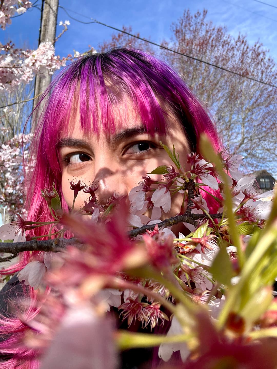 Creator Nadeen photo