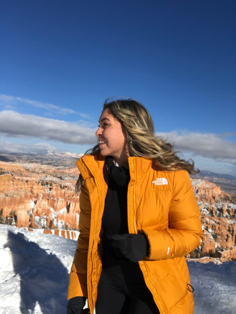 Profile