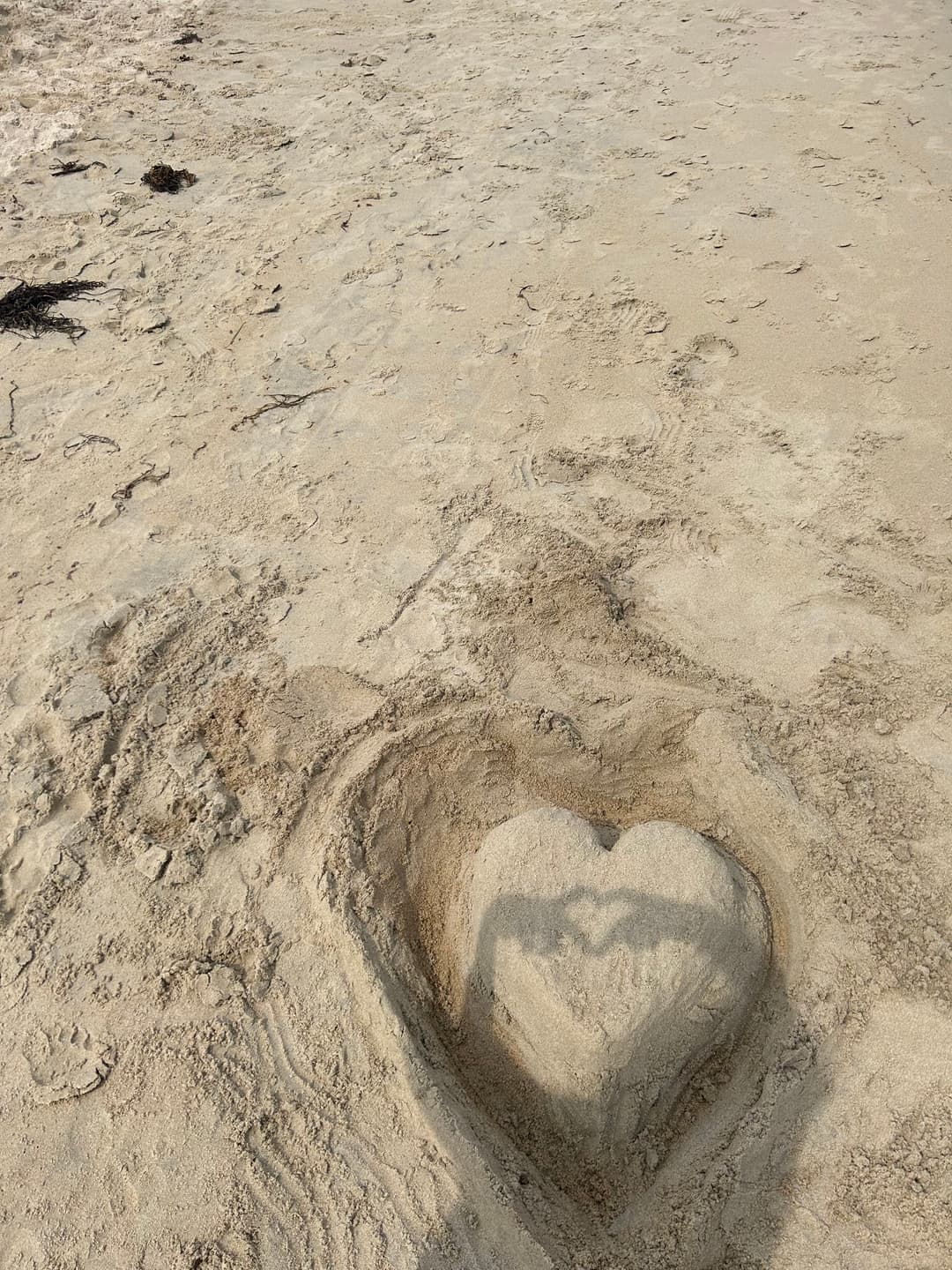 Creator Meredyth photo