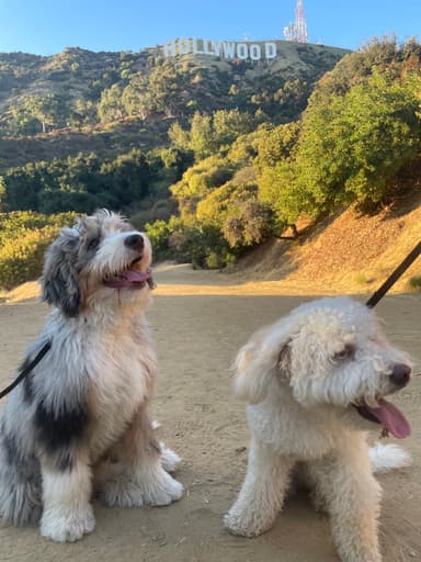 Remi & Rain