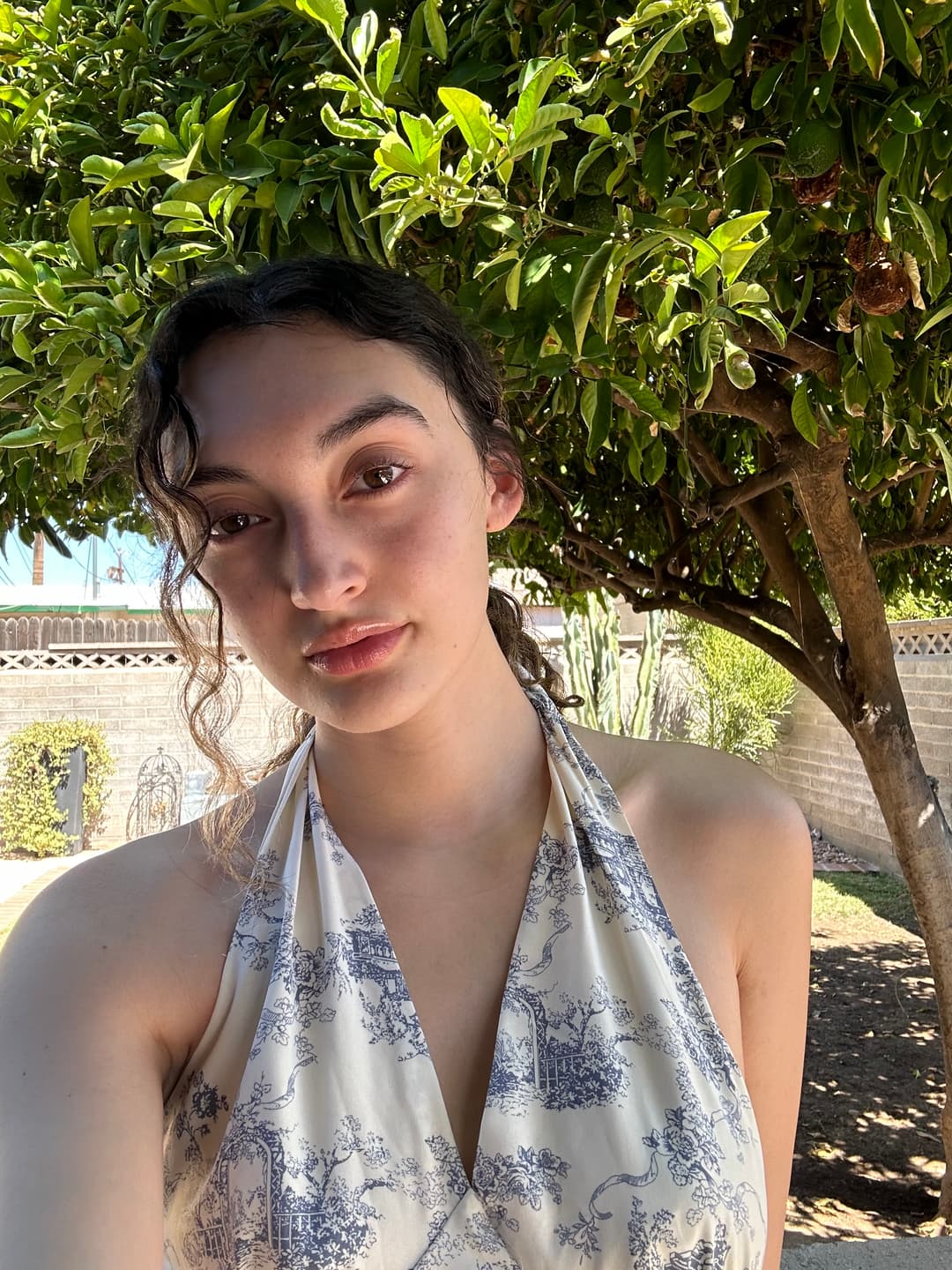 Creator Sierra photo