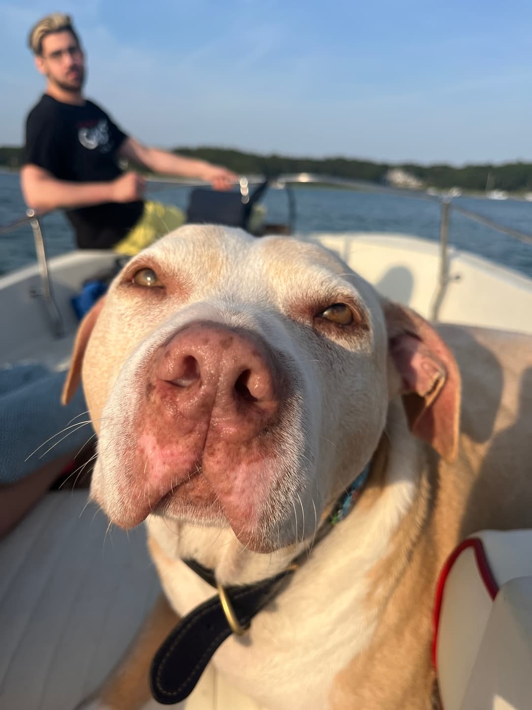 Creator Sabina photo